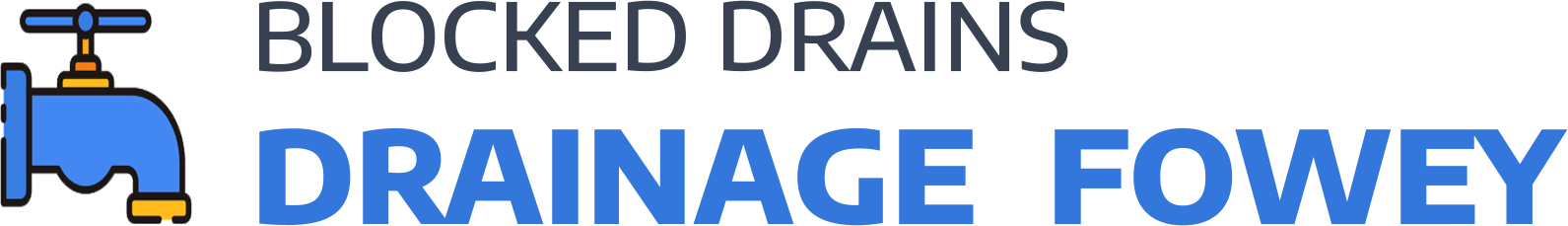 website logo